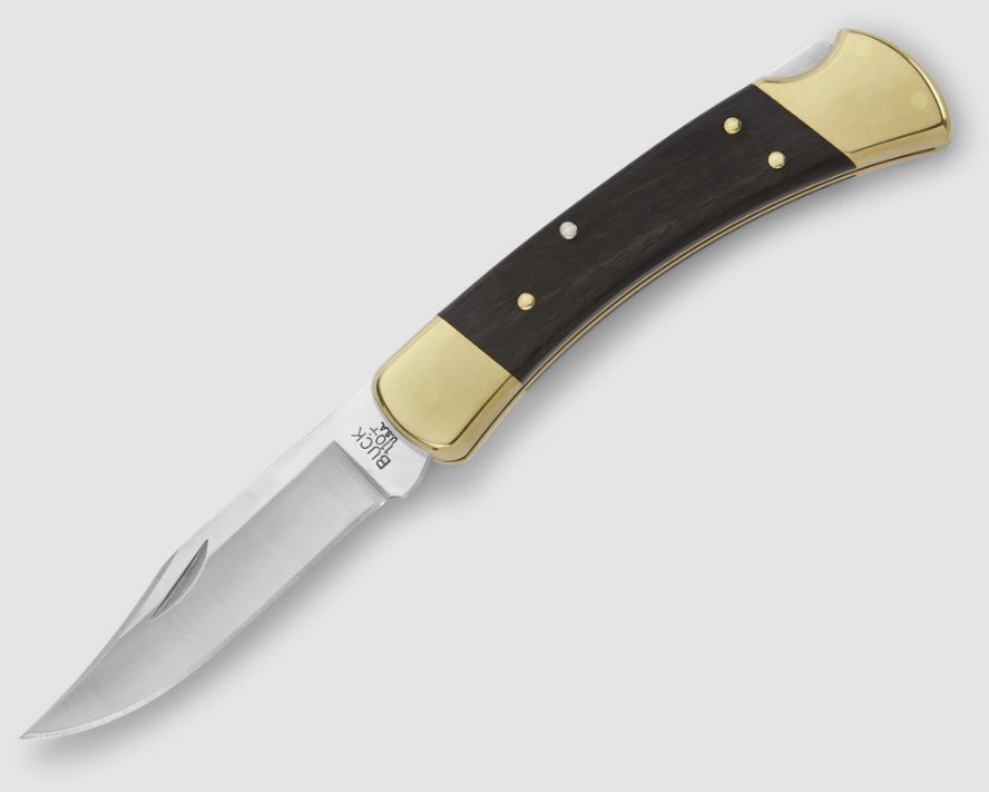 Buck Folding Hunter Knife