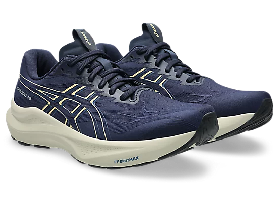 Asics Men's GT-2000 14