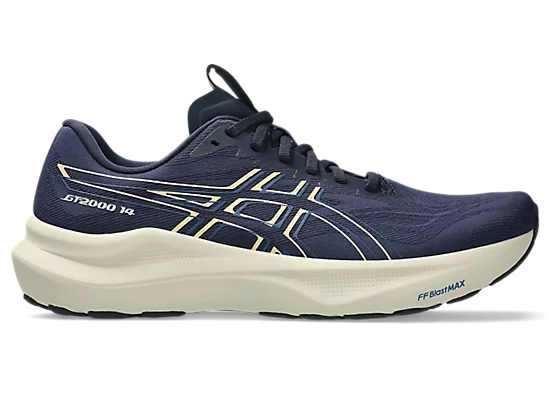 Asics Men's GT-2000 14