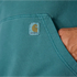 Carhartt Men's Re-Engineered French Terry Hoodie