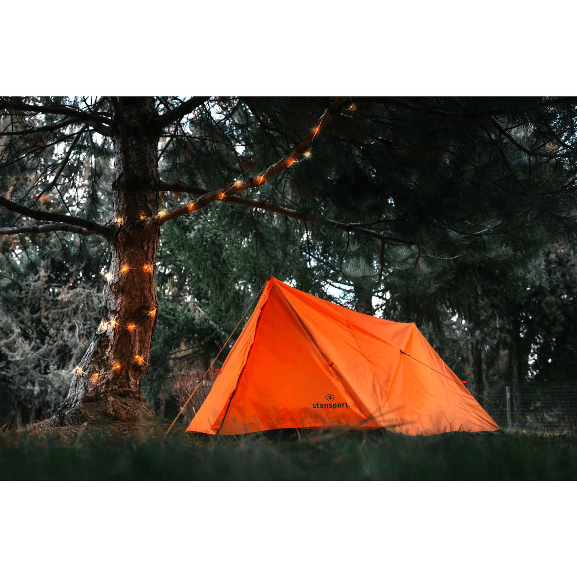 Stansport 30' LED Outdoor String Lights w/ Remote