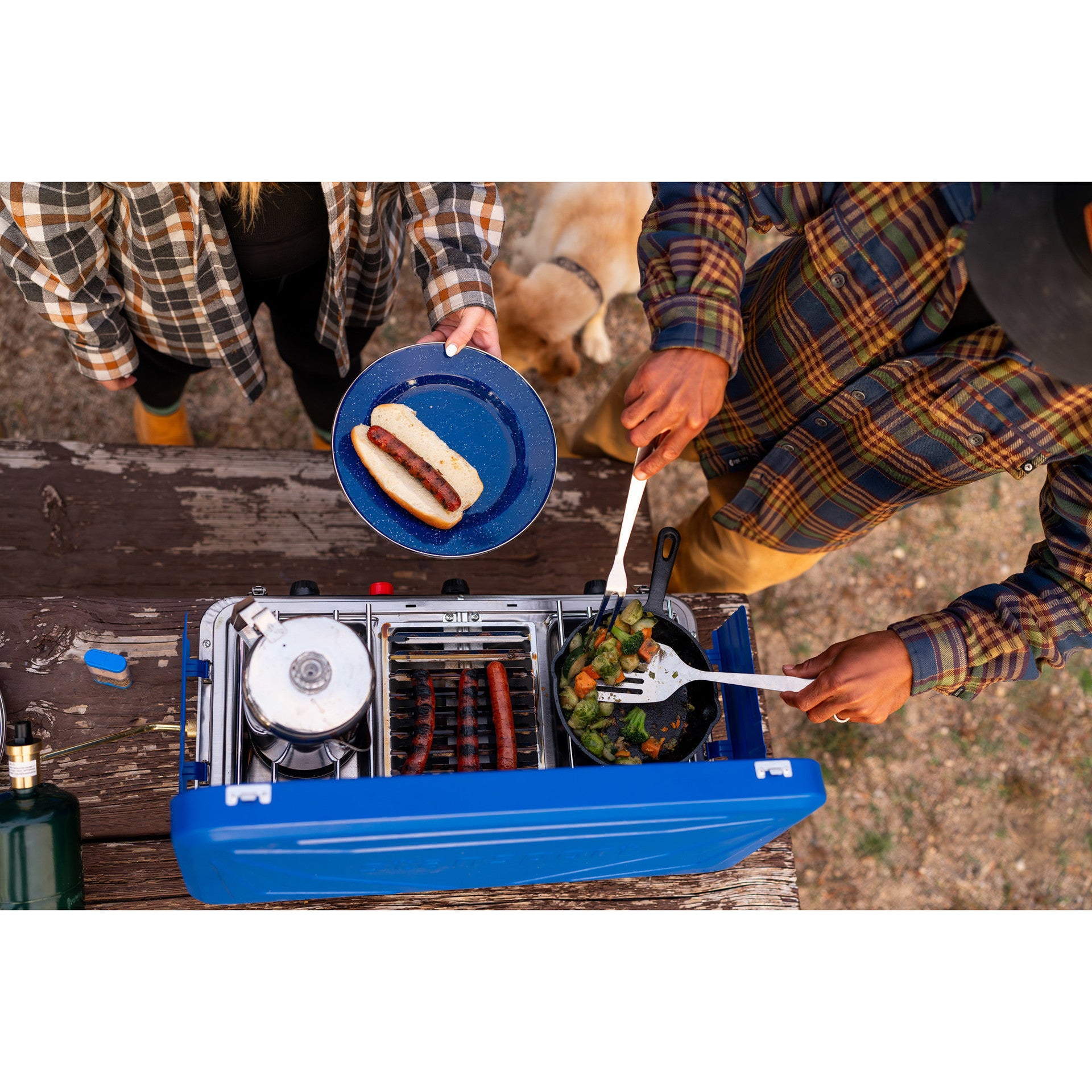 Stansport Enamel Dinner Plate - 10.25" Diameter