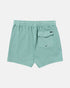 RVCA Men's VA Pigment Elastic Short Trunk 16"