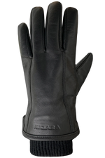 Auclair Men's Aiden Insulated Glove