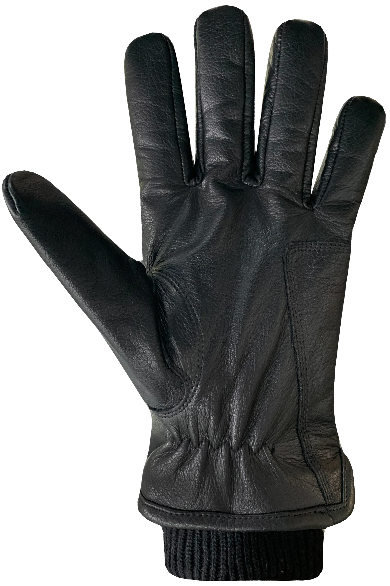 Auclair Men's Aiden Insulated Glove
