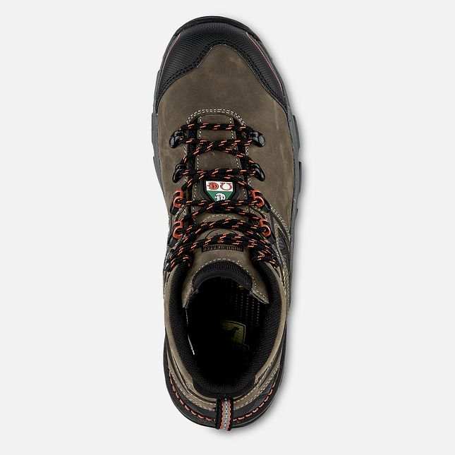 Irish Setter CSA 6" Crosby