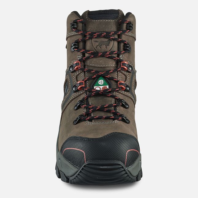 Irish Setter CSA 6" Crosby