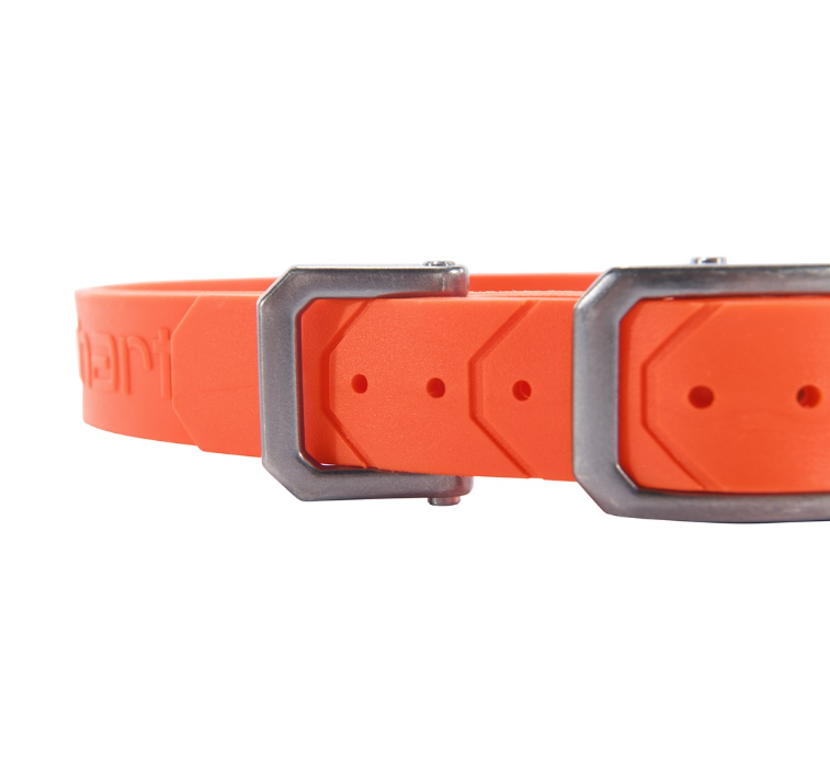 Carhartt Waterproof Dog Collar