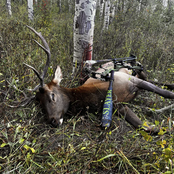 Slayer Enchantress Collection Elk Call