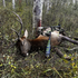Slayer Enchantress Collection Elk Call