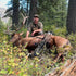 Slayer Isabella Creek Elk Reed Clearwater Series