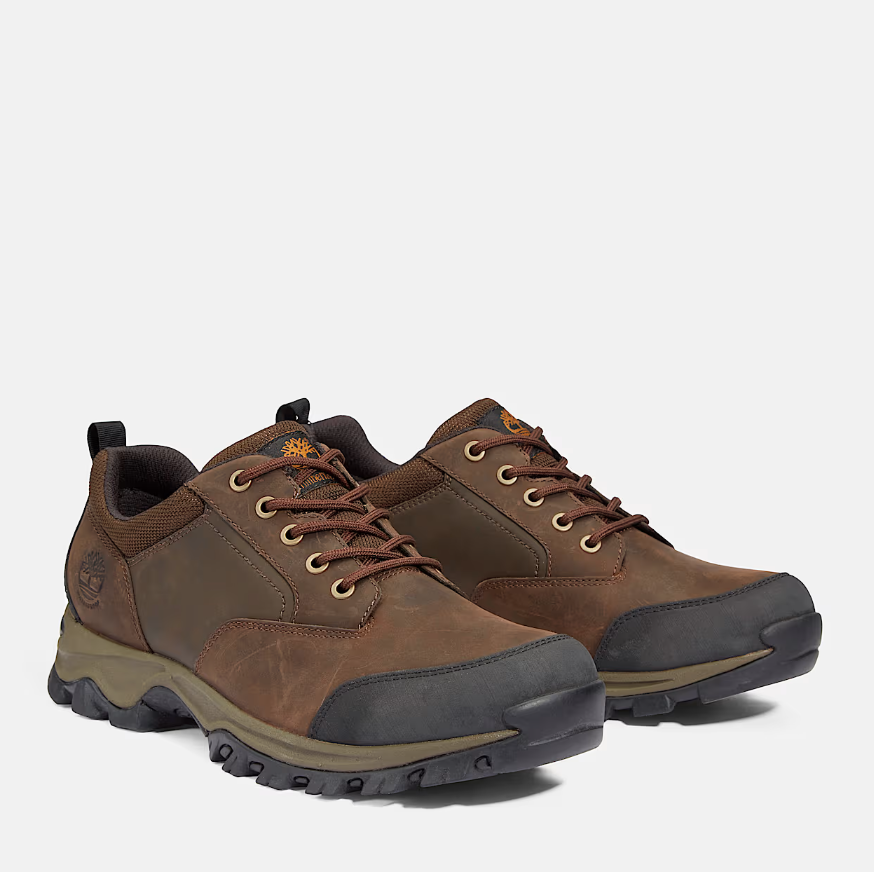 Timberland Men's Mt. Maddsen Waterproof Low Hiker