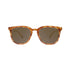 Knockaround Paso Robles - Glossy Blonde Tortoise Shell/Amber