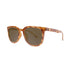 Knockaround Paso Robles - Glossy Blonde Tortoise Shell/Amber