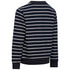 Trespass Boys Broadleaf Striped Knit Sweatshirt