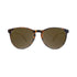 Knockaround Mai Tais - Glossy Tortoise Shell/Amber