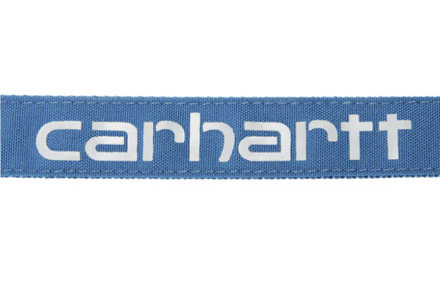 Carhartt Reflective 6-ft Leash