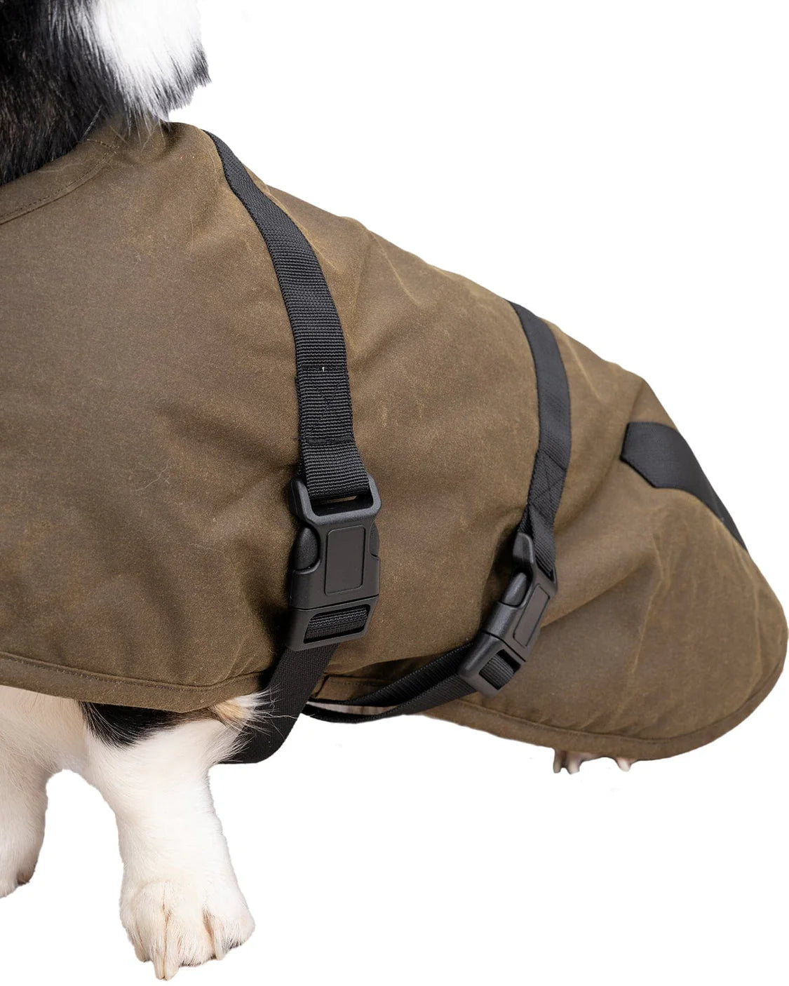 Outback Clancy Oilskin Canine Coat