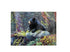 Rivers Edge 12"x16" Tempered Glass Cutting Board