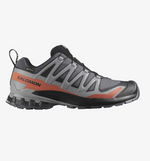 Salomon Men's XA Pro 3D V9 Gore-tex