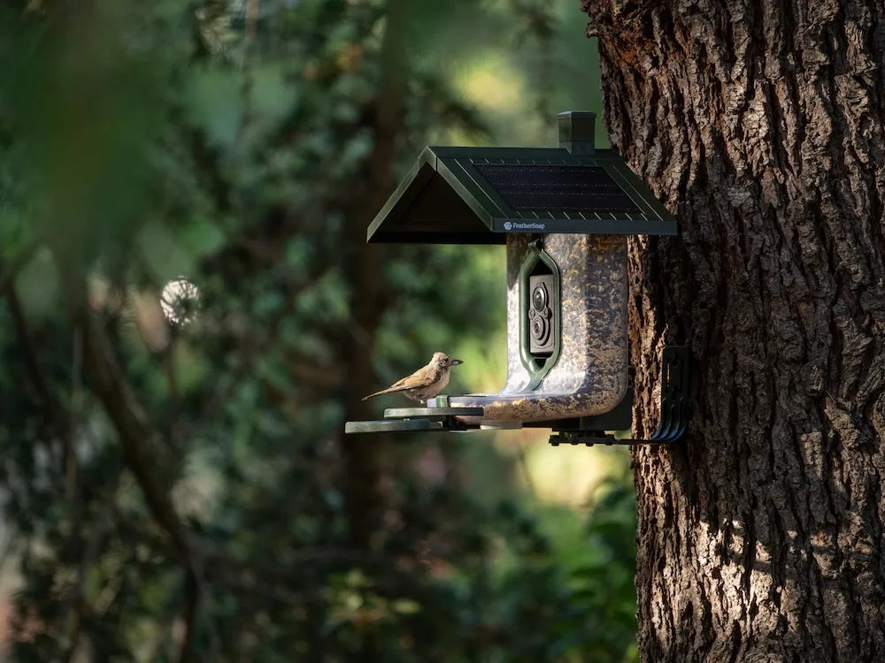 Feathersnap Bird Feeder w/ Wifi Camera