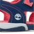 Timberland Adventure Seeker 2 Sandal | ruggednorth.ca