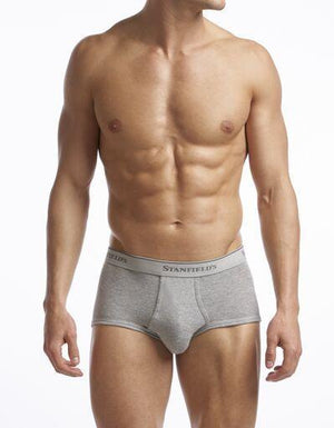 Stanfield's Briefs
