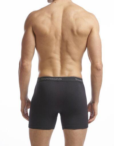 Stanfield's Boxer Briefs