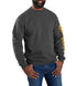 Carhartt Loose Fit Crewneck Sweatshirt | ruggednorth.ca