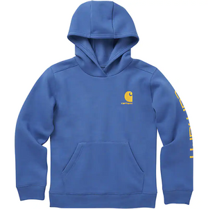 Carhartt Hooded Graphic Sweater | ruggednorth.ca