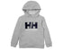 Helly Hansen Kids Logo Hoodie | ruggednorth.ca